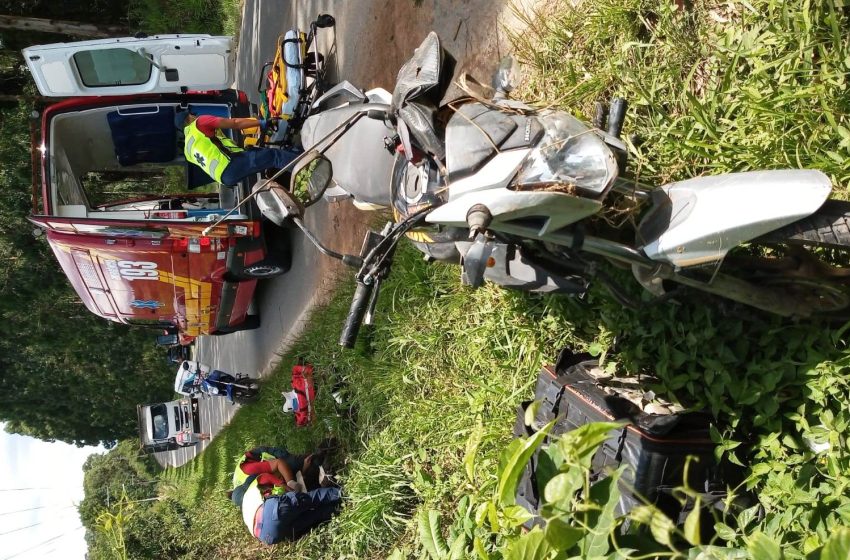  Cachorro invade pista, derruba motociclista e morre com impacto