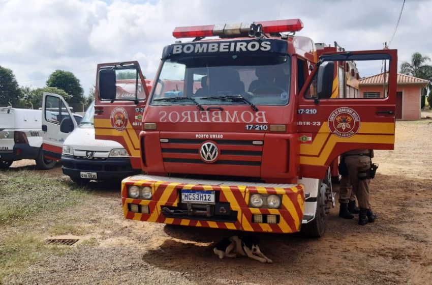   Trabalhador perde a vida em acidente de trabalho