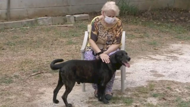  CÃO VAI MORAR EM LAR DE IDOSOS PARA FICAR AO LADO DA TUTORA