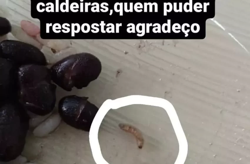  Alunos encontram larva na Alimentação Escolar