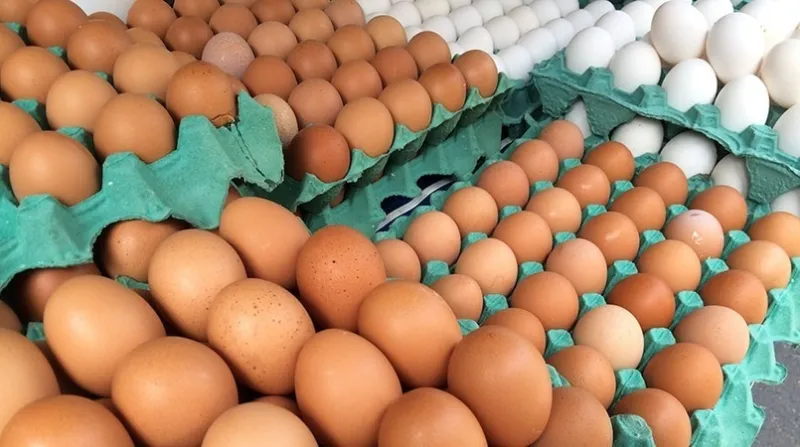  Depois do aumento no preço da carne agora é a vez dos ovos