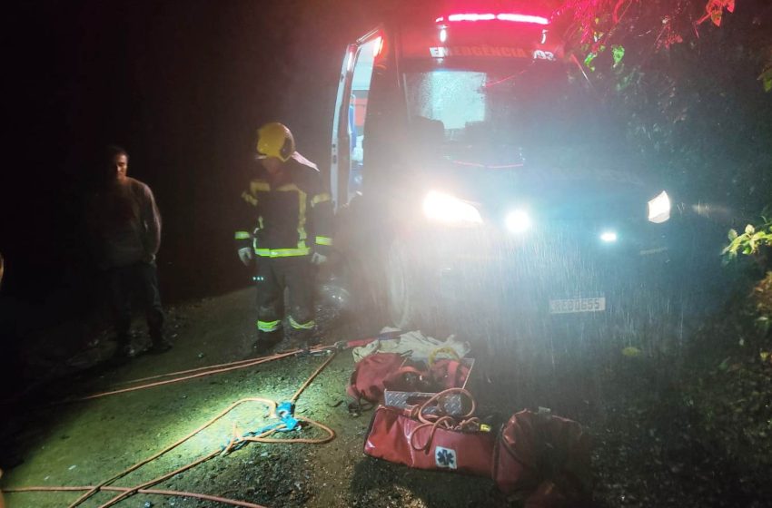  Citröen despenca em ribanceira, colide em árvore e deixa mulher ferida