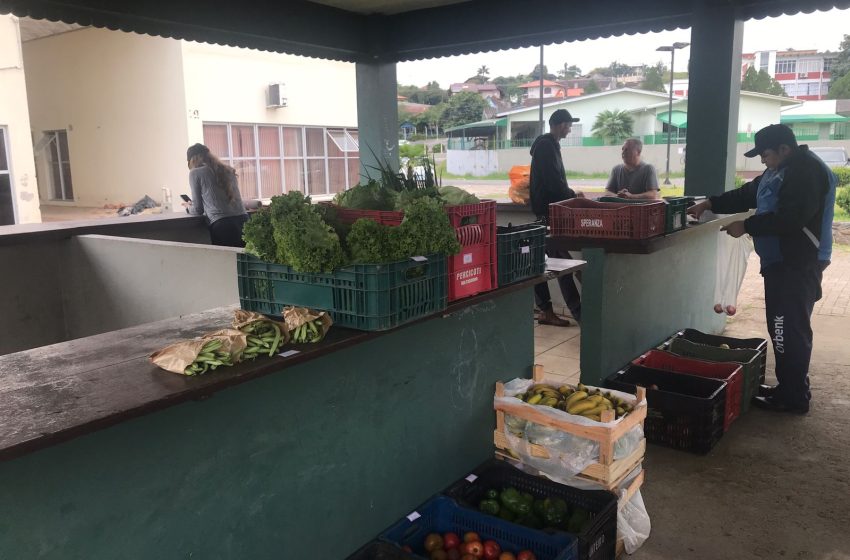  Hoje tem ‘Cãmbio Verde’ no Centenário