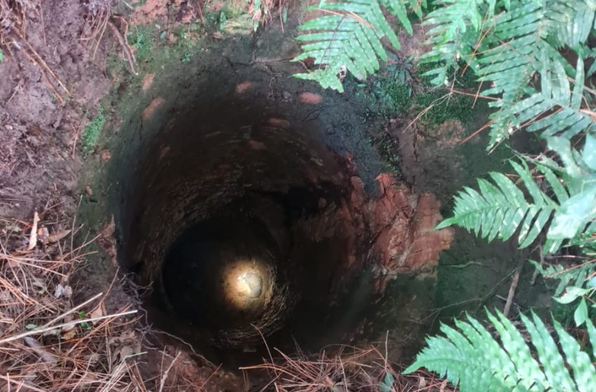  Cão cai em poço e é resgatado pelos bombeiros