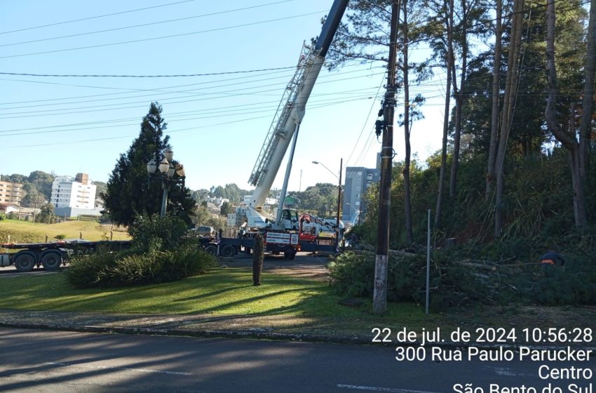  Corte de árvores em situação de risco