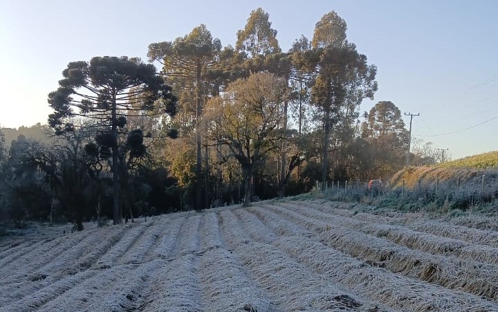  Frio abaixo de zero no Planalto Norte