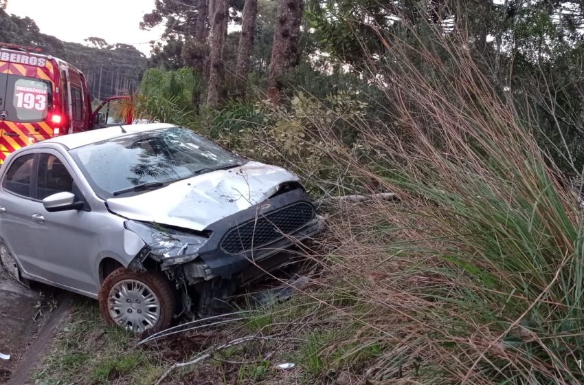  Mulher perde controle da direção e bate em árvore