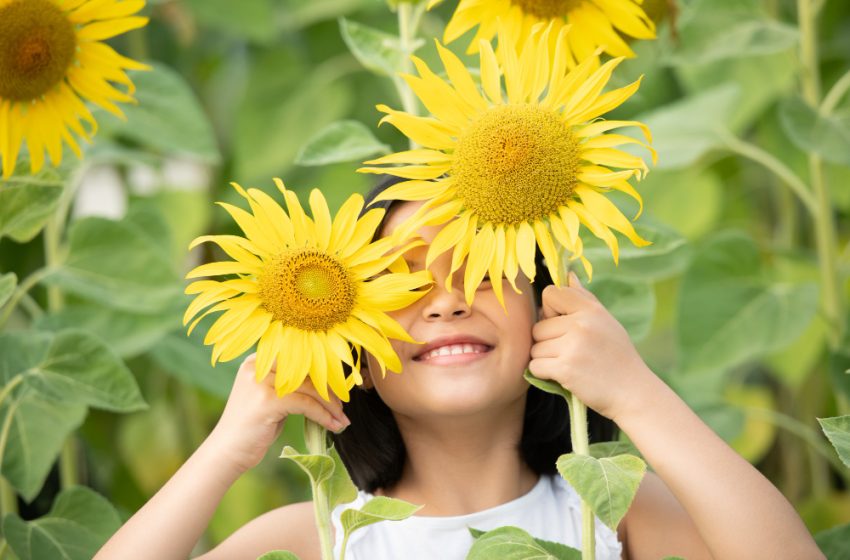  Primavera começa domingo com dia quente