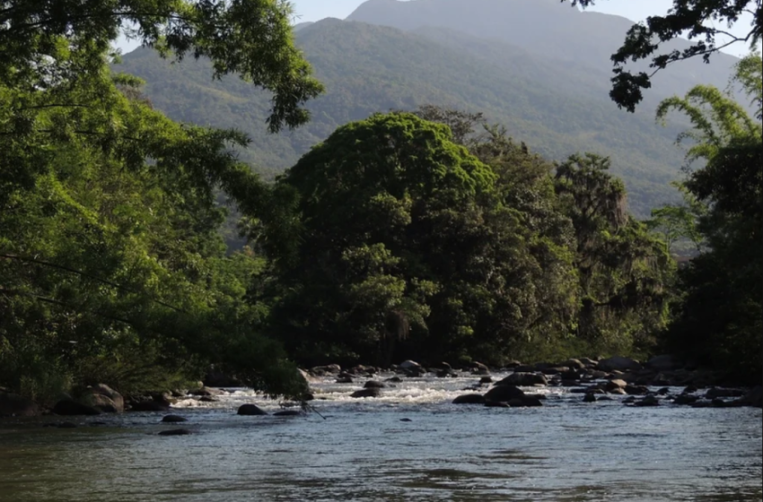  FIESC e entidades defendem Código de Meio Ambiente de SC