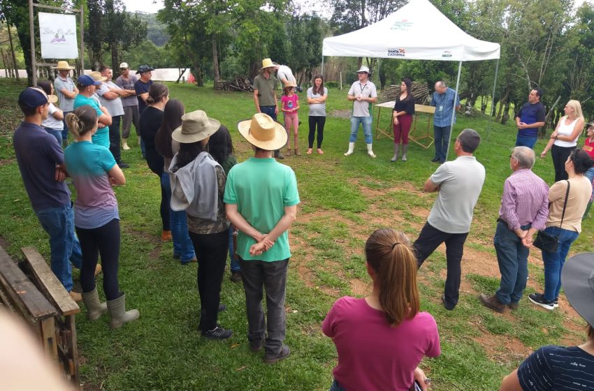  Agricultura promove Dia de Campo para produtores rurais